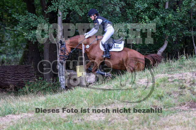 Late-Entry Vielseitigkeit Hamminkeln/Wesel (01.+02.08.2020)
