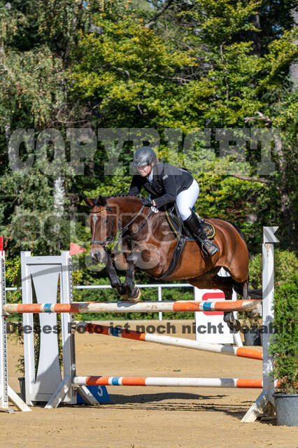 RFV Dinslaken-Hiesfeld (Herbstturnier)