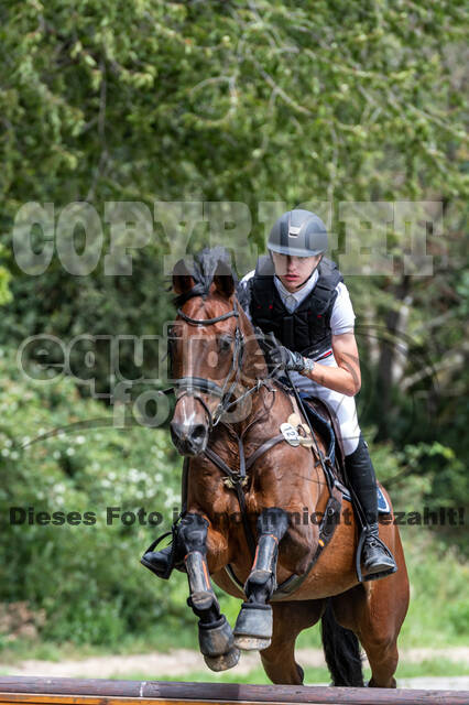 Late-Entry-Vielseitigkeit Langenfeld (06.+07.07.2020)