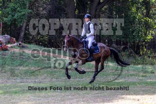 Late-Entry Vielseitigkeit Hamminkeln/Wesel (01.+02.08.2020)