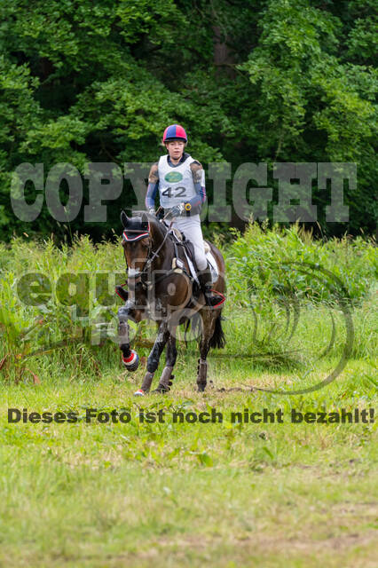 Westerstede Horse Trials 2021