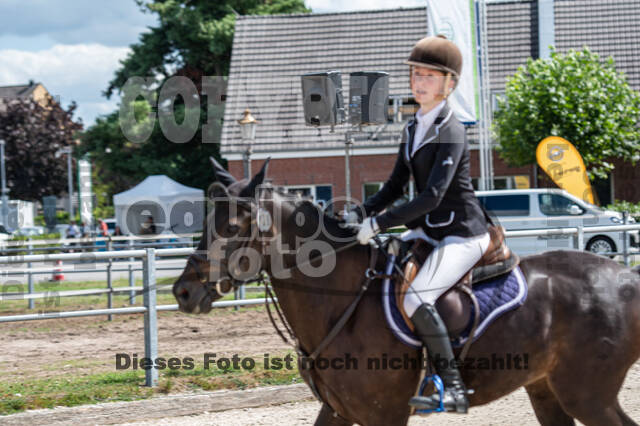 Landesturnier Rheinland, Vielseitigkeit, 22.+23.08.2020