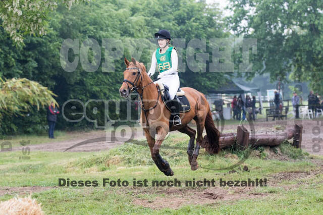 Vielseitigkeitsturnier ZRFV von Lützow Hamminkeln