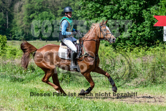 Westerstede Horse Trials (10.-13.06.2021)