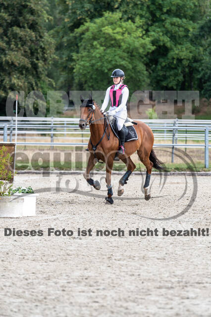 Late-Entry-Vielseitigkeit Langenfeld (11.+13./14.06.2020)