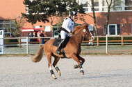 Eventing Langenfeld 2018