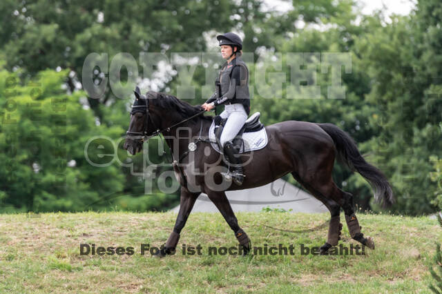 Late-Entry-Vielseitigkeit Langenfeld (11.+13./14.06.2020)