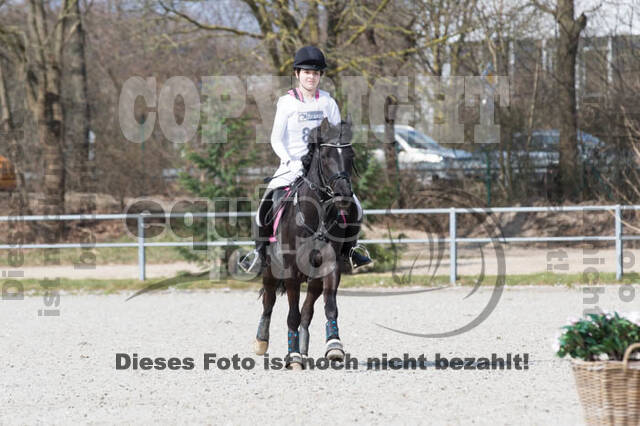 Eventing Langenfeld 2018