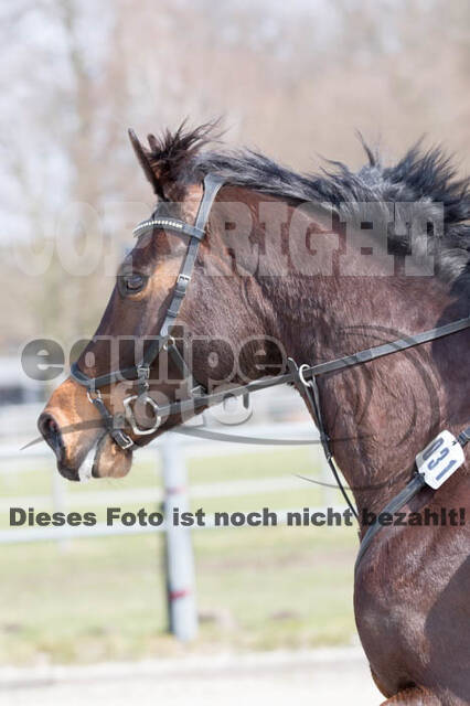 Eventing Langenfeld