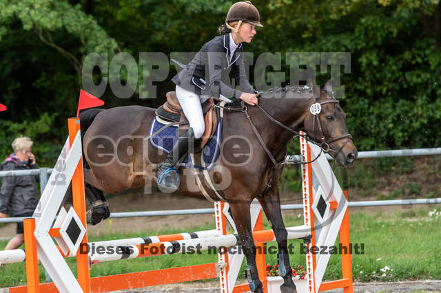 Late-Entry-Vielseitigkeit Langenfeld (06.+07.07.2020)