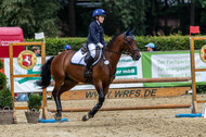 Goldene Schärpe 2021 - Ponys