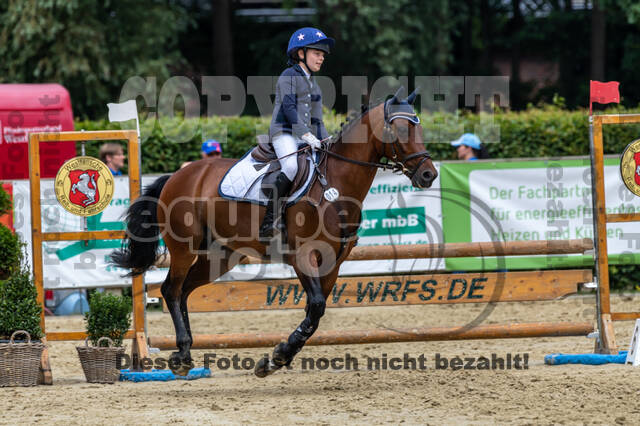 Goldene Schärpe 2021 - Ponys