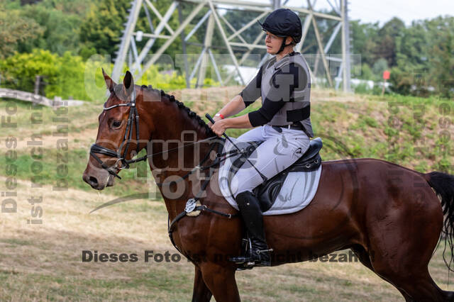 Late-Entry Vielseitigkeit Hamminkeln/Wesel (01.+02.08.2020)