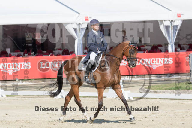 FEI European Championship Eventing 2017