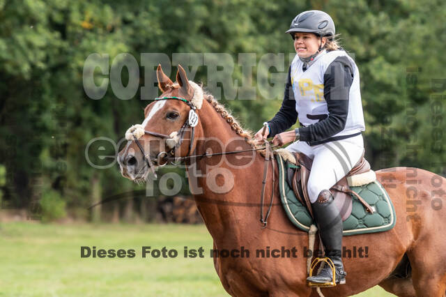 Vielseitigkeit RSV Wesel Obrighoven (26.+27.09.2020)