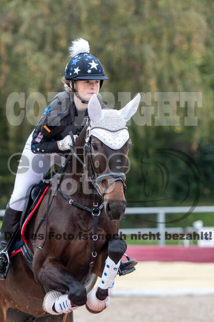 Goldene Schärpe 2020 - Pferde