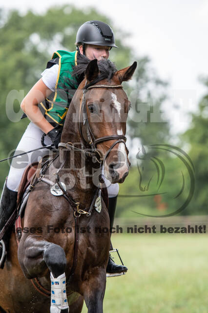 Late-Entry-Vielseitigkeit Gahlen (18.07.2020)