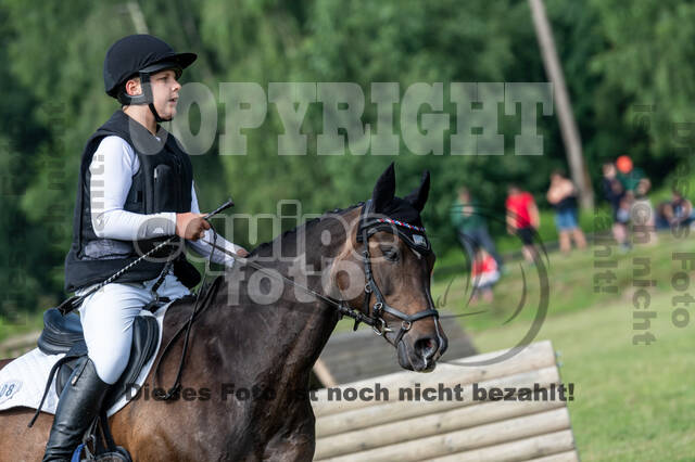 Goldene Schärpe 2021 - Ponys