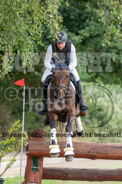 Late-Entry-Vielseitigkeit Langenfeld (11.+13./14.06.2020)