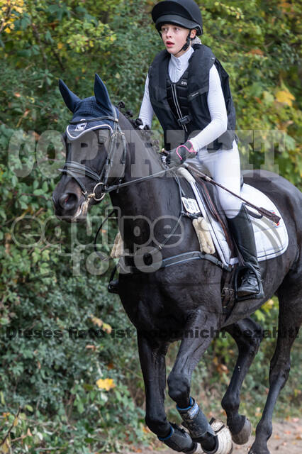 Goldene Schärpe 2020 - Pferde