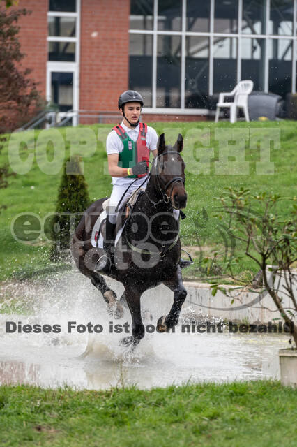 Goldene Schärpe 2020 - Pferde