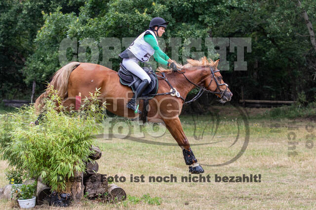 Late-Entry Vielseitigkeit Hamminkeln/Wesel (01.+02.08.2020)
