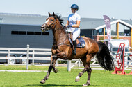 Kronenberg - De Peelbergen (August 2020)