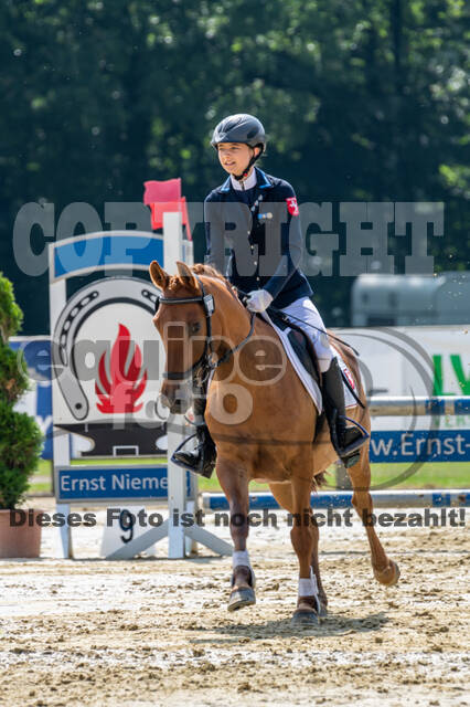 Goldene Schärpe 2021 - Ponys