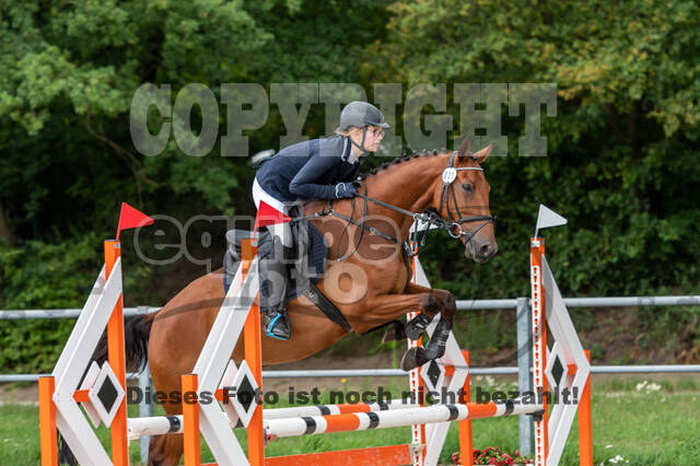 Late-Entry-Vielseitigkeit Langenfeld (06.+07.07.2020)