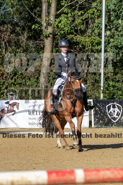 RFV Dinslaken-Hiesfeld (Herbstturnier)