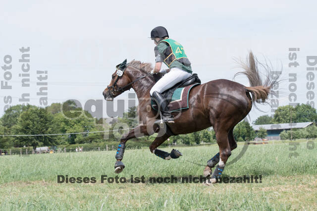 Vielseitigkeitsturnier ZRuFV von Lützow Hamminkeln