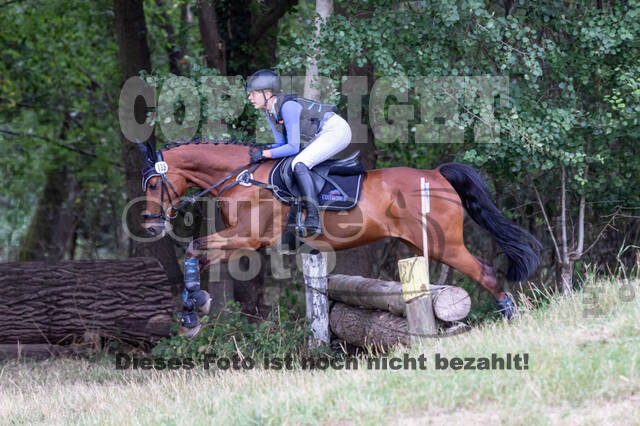 Late-Entry Vielseitigkeit Hamminkeln/Wesel (01.+02.08.2020)