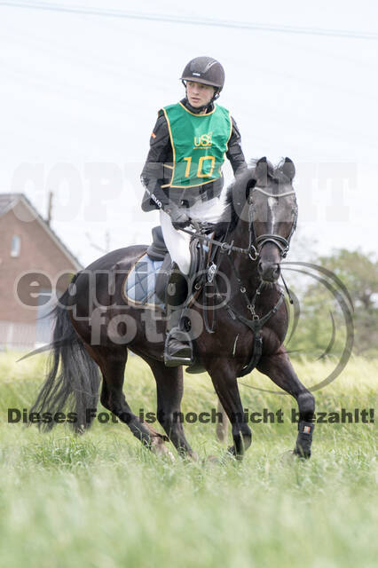 Vielseitigkeitsturnier ZRuFV von Lützow Hamminkeln