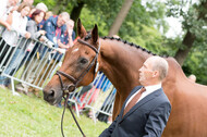 FEI European Championship Eventing 2017