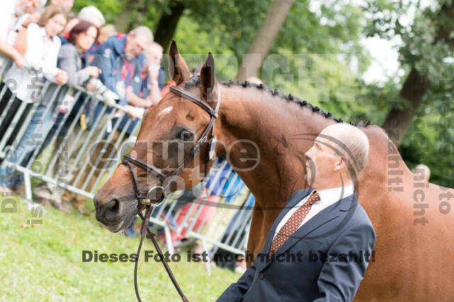 FEI European Championship Eventing 2017