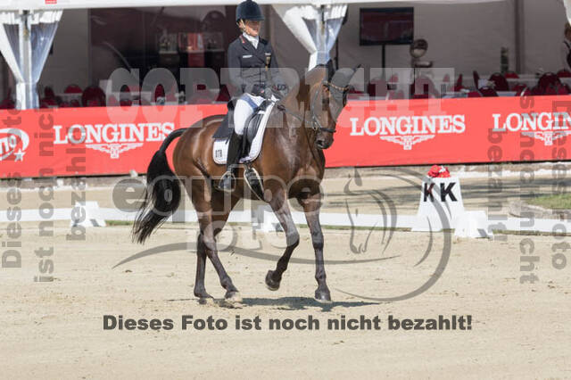 FEI European Championship Eventing 2017