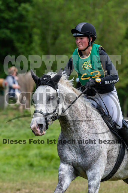 Westerstede Horse Trials (10.-13.06.2021)