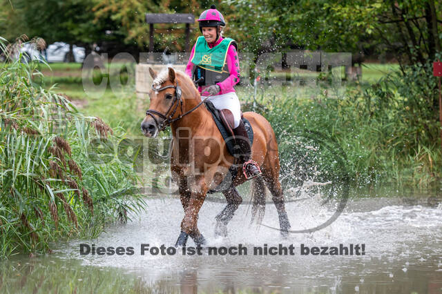 Vielseitigkeit RSV Wesel Obrighoven (26.+27.09.2020)