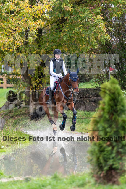 Goldene Schärpe 2020 - Pferde