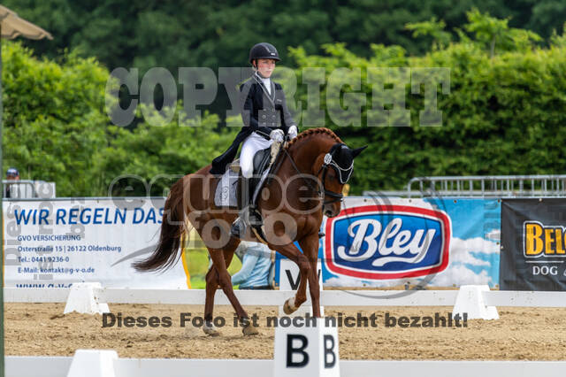 Westerstede Horse Trials 2021