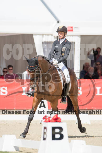 FEI European Championship Eventing 2017