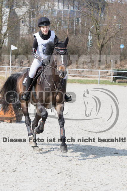 Eventing Langenfeld 2018