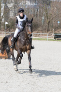 Eventing Langenfeld 2018