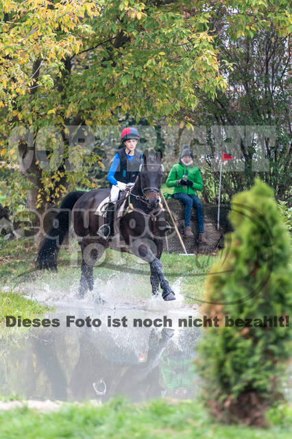 Goldene Schärpe 2020 - Pferde