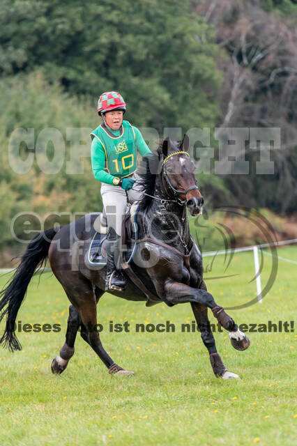Deutsche Meisterschaft Vielseitigkeit (Luhmühlen)