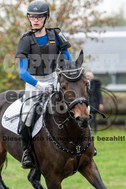 Goldene Schärpe 2020 - Pferde