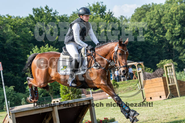 Goldene Schärpe 2021 - Ponys