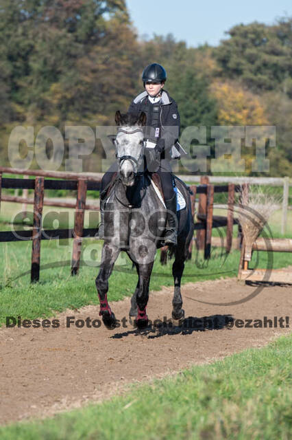 Vielseitigkeitslehrgang mit Jürg Kurbel (9.+10.11.2019)