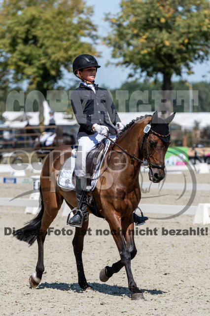 Kronenberg - De Peelbergen (August 2020)