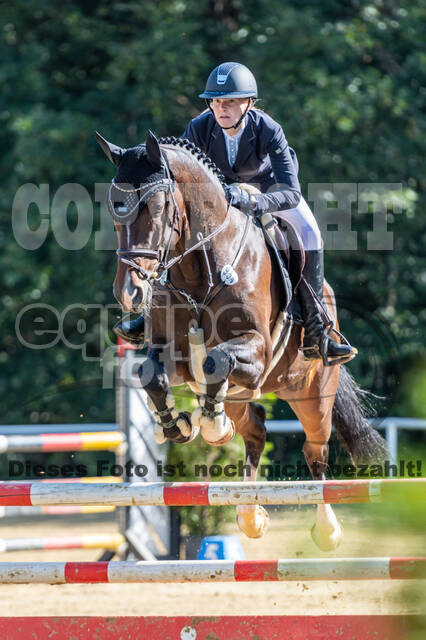 RFV Dinslaken-Hiesfeld (Herbstturnier)
